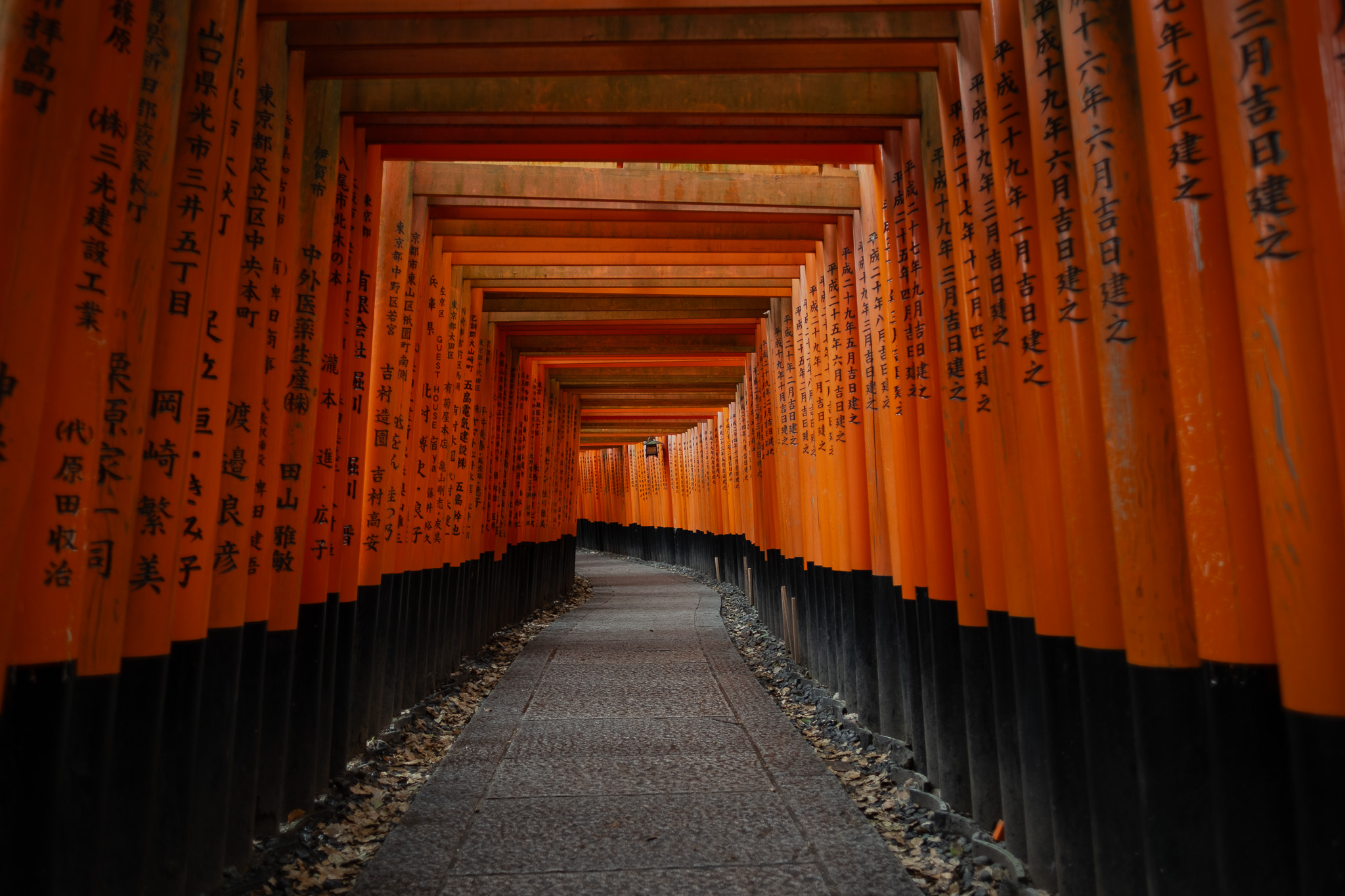 Featured
Photos