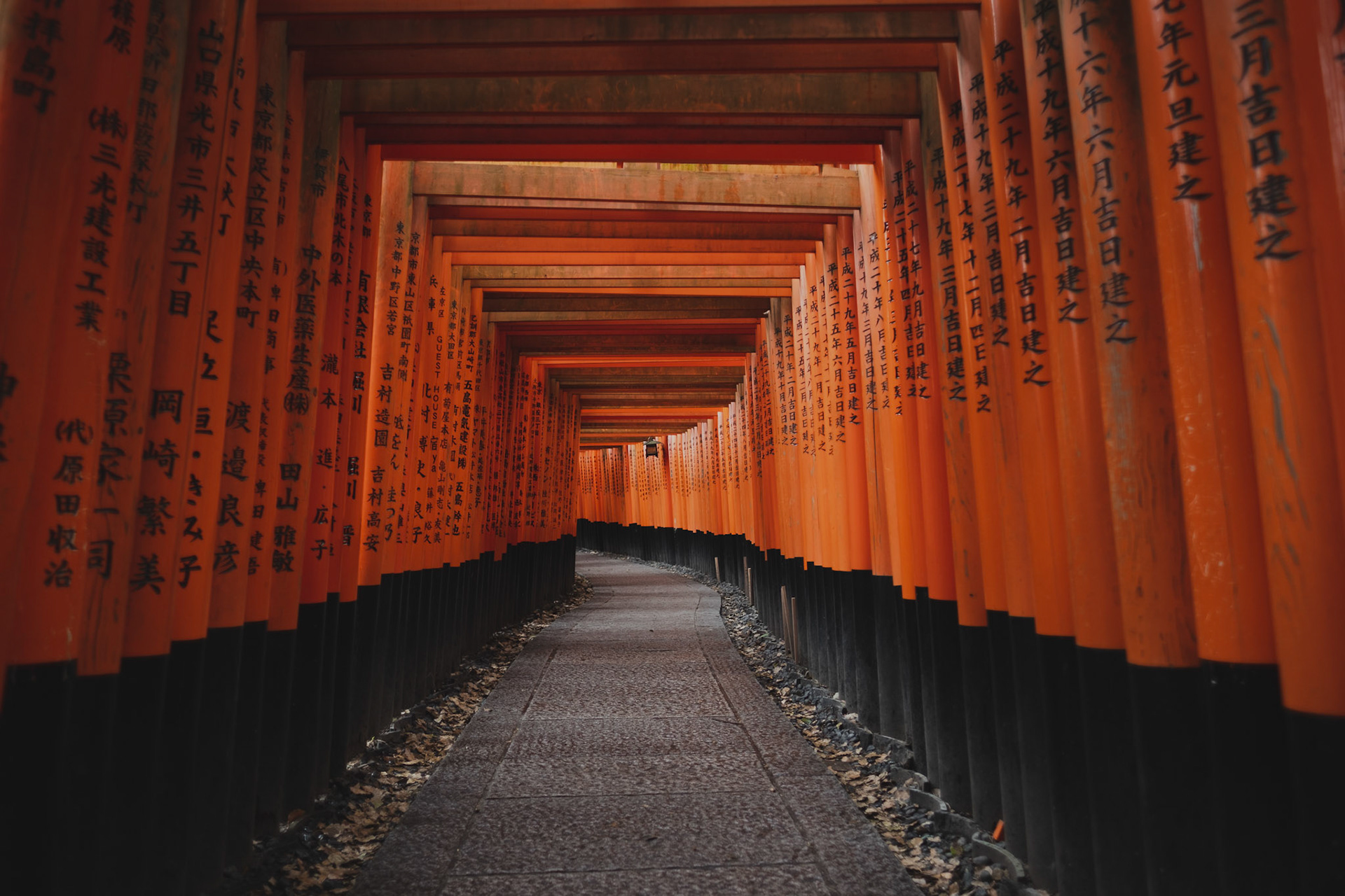 Architecture