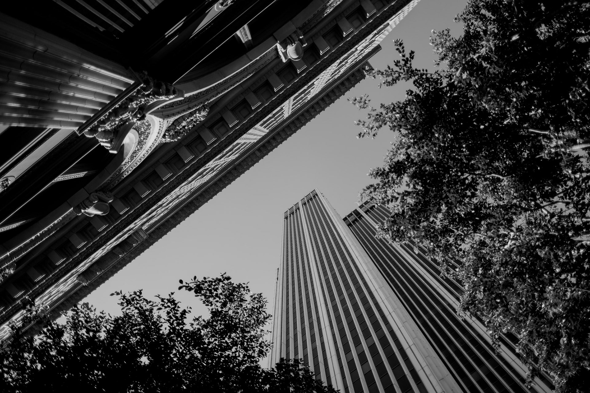 Architecture