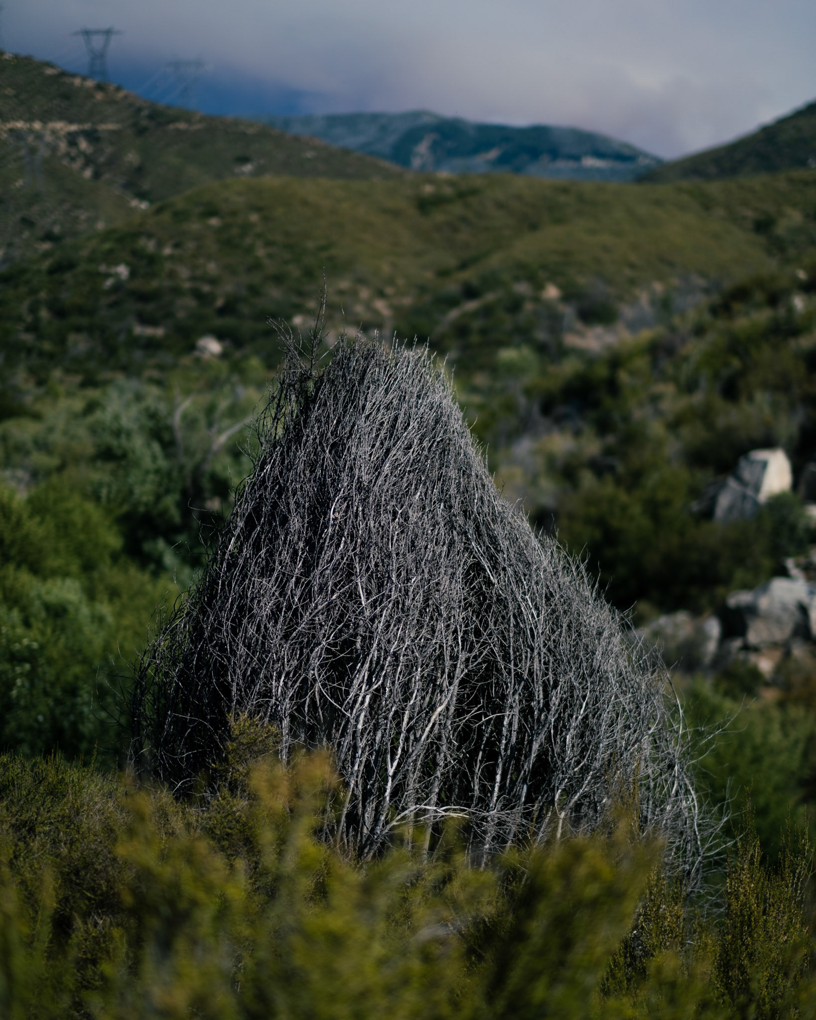 Landscapes