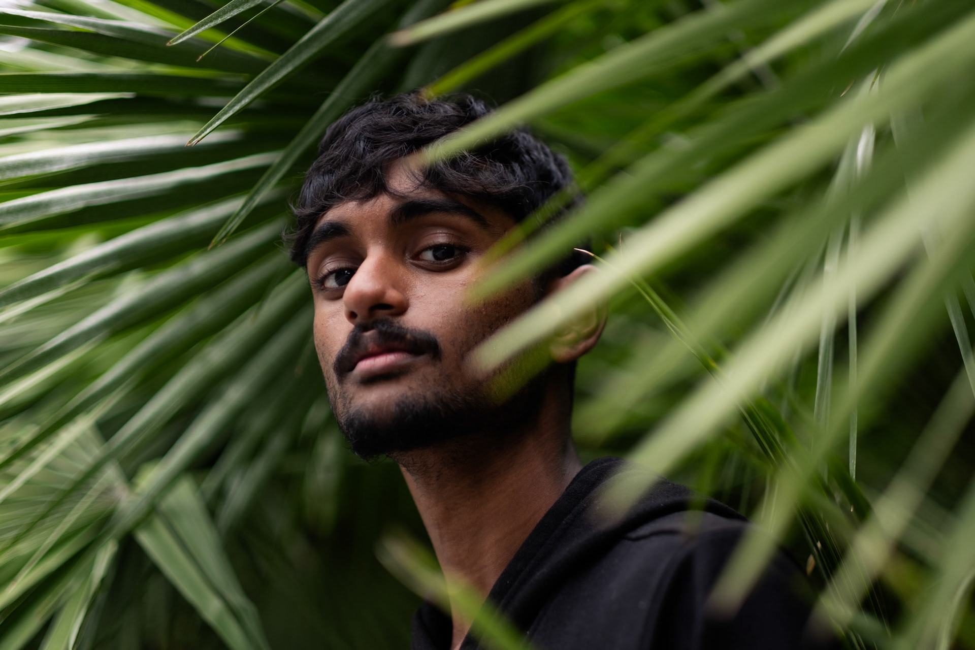 Portraiture