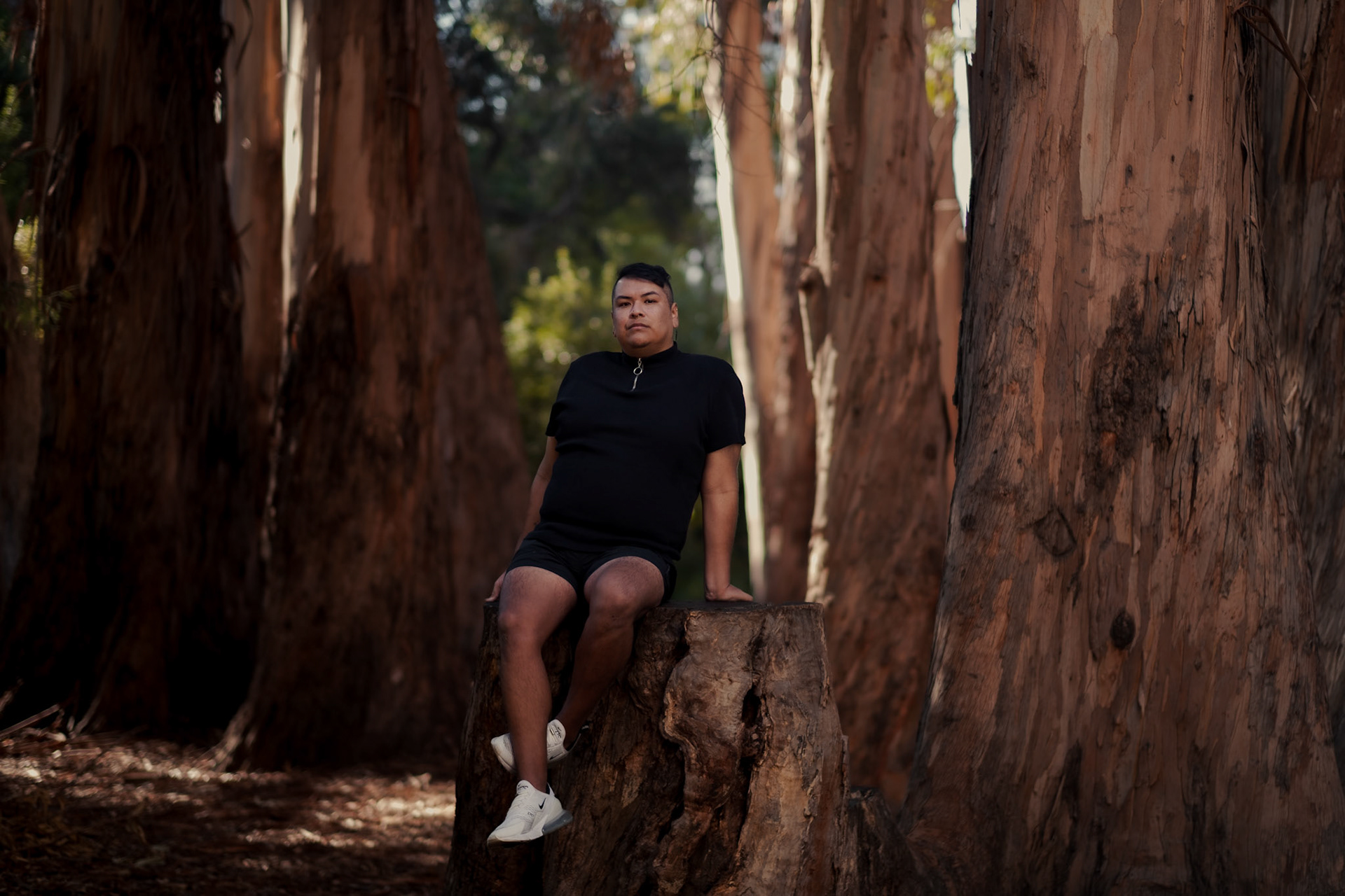 Portraiture